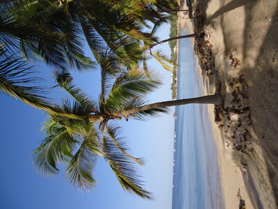 senegal, DSC01174