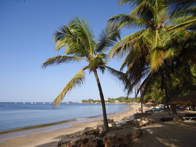 senegal, DSC01175