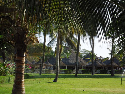 senegal, DSC01176