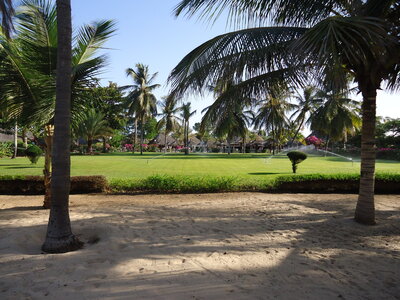 senegal, DSC01178