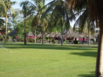 senegal, DSC01180