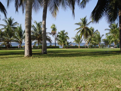 senegal, DSC01183