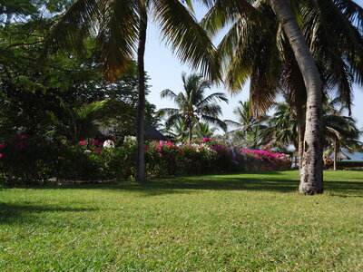 senegal, DSC01184