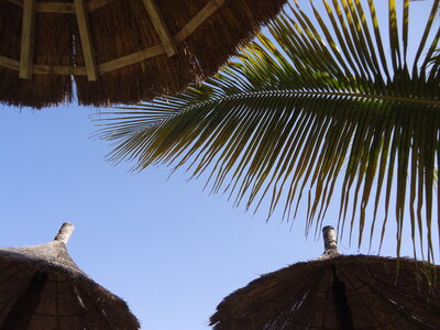 senegal, DSC01185