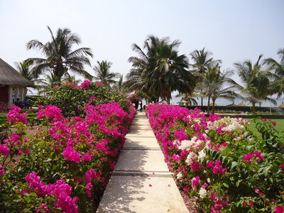 senegal, DSC01186