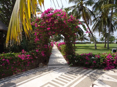 senegal, DSC01188