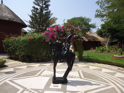 senegal, DSC01190