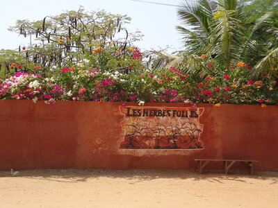 senegal, DSC01195