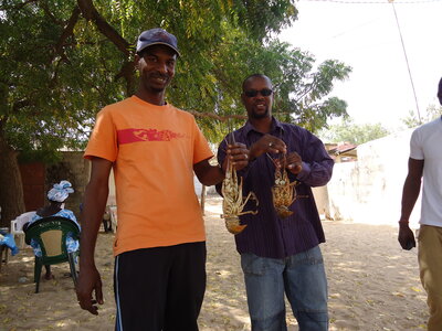 senegal, DSC01206