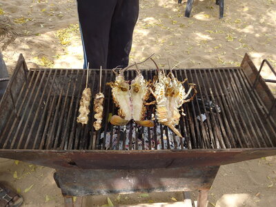 senegal, DSC01212