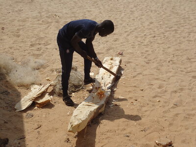 senegal, DSC01217