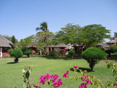 senegal, DSC01243