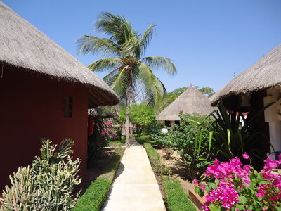 senegal, DSC01244