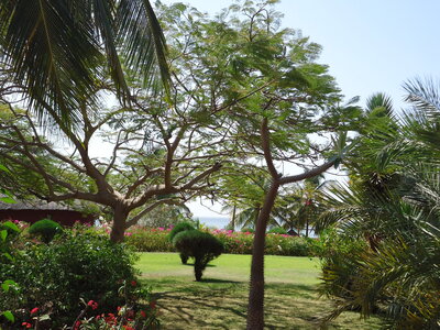 senegal, DSC01248