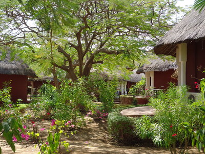 senegal, DSC01256
