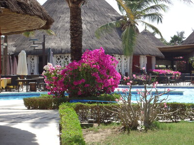 senegal, DSC01258