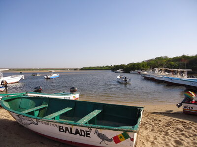 senegal, DSC01265