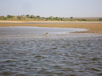 senegal, DSC01271