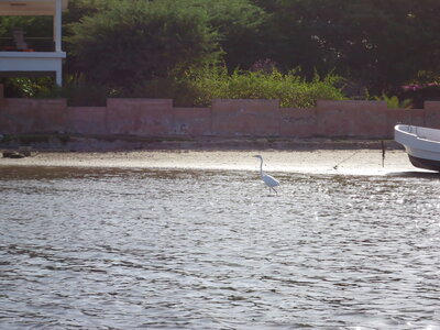 senegal, DSC01277