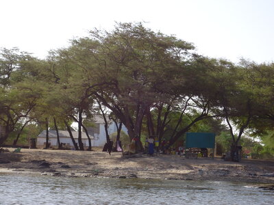 senegal, DSC01284