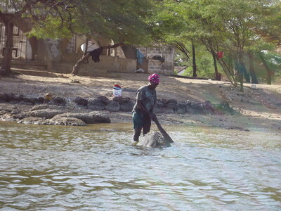 senegal, DSC01286