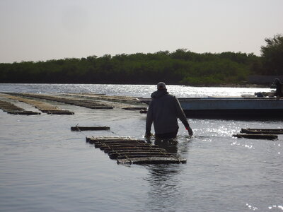 senegal, DSC01289