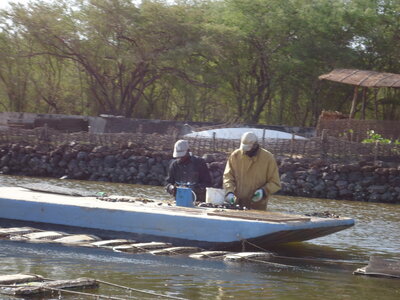senegal, DSC01290