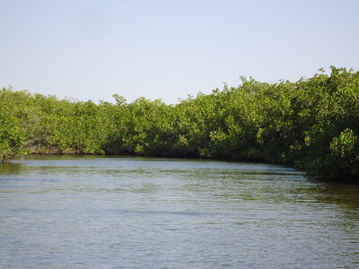 senegal, DSC01295