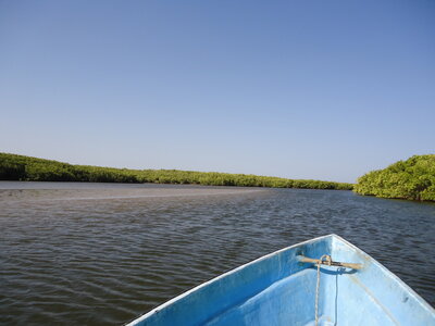 senegal, DSC01301
