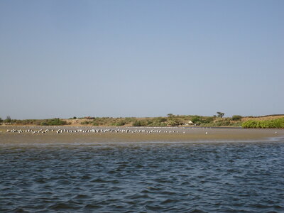 senegal, DSC01304