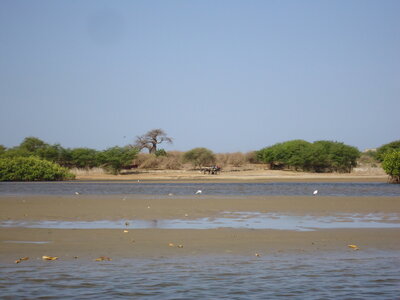 senegal, DSC01305