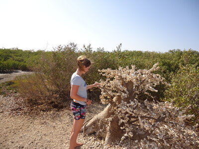 senegal, DSC01310