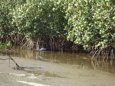 senegal, DSC01314