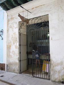 Véro Patrick Cuba2014, P1000313