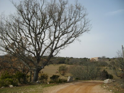 LE PIC DES MOUCHES ET LA CITADELLE, Vers la Sinne