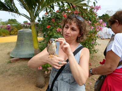 Cuba photo Ch, Christine & faucon