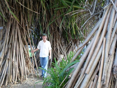 Cuba photo Ch, SAM_0581