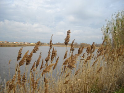 GR 2013 : DU PAS DES LANCIERS A MARTIGUES, Etang de Bolmont