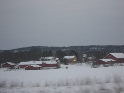 OSLO Décembre 2010, oslo 2010 153