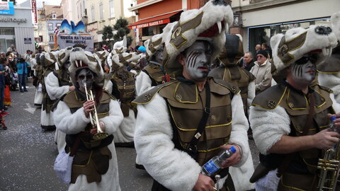2014 CARNAVAL MULHOUSE, P007