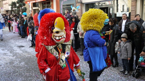 2014 CARNAVAL MULHOUSE, P013