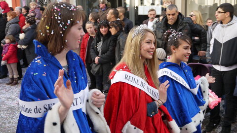 2014 CARNAVAL MULHOUSE, P015