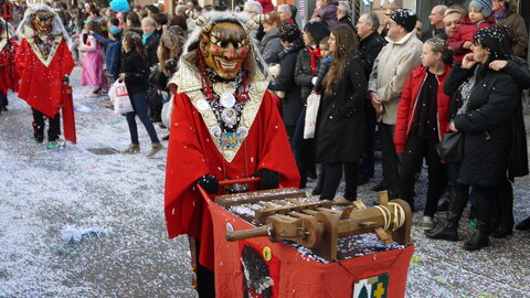 2014 CARNAVAL MULHOUSE, P019