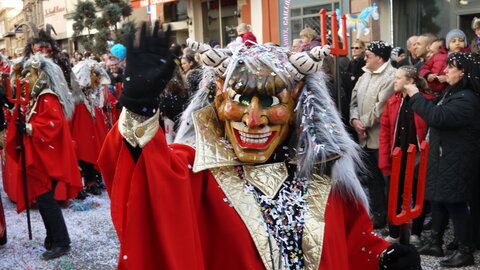 2014 CARNAVAL MULHOUSE, P020