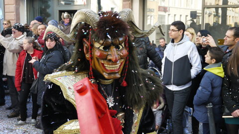 2014 CARNAVAL MULHOUSE, P021
