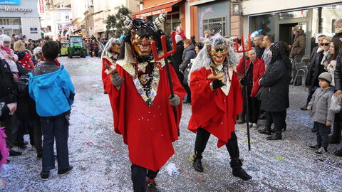 2014 CARNAVAL MULHOUSE, P022