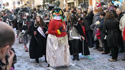 2014 CARNAVAL MULHOUSE, P025