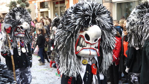 2014 CARNAVAL MULHOUSE, P026