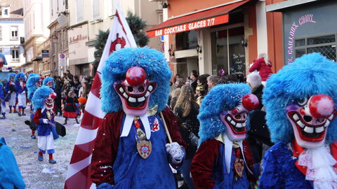 2014 CARNAVAL MULHOUSE, P031