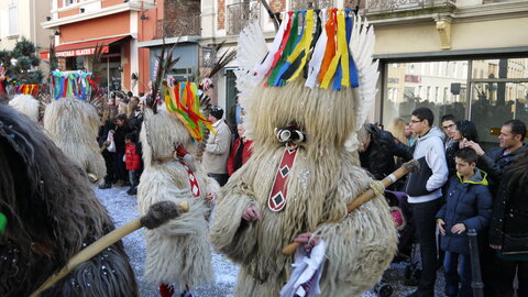 2014 CARNAVAL MULHOUSE, P038